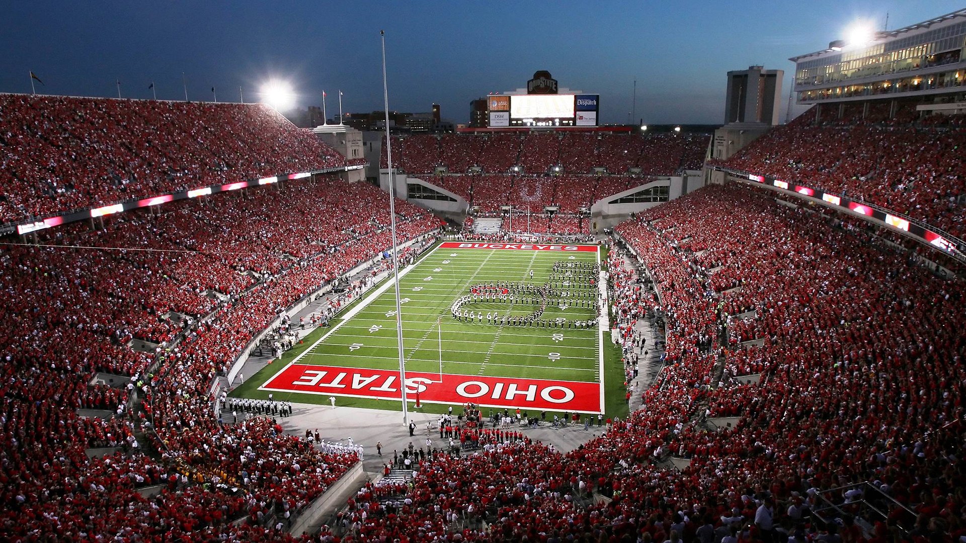 “阿根廷美洲狮队稳步前行,目标瞄准橄榄球未来”