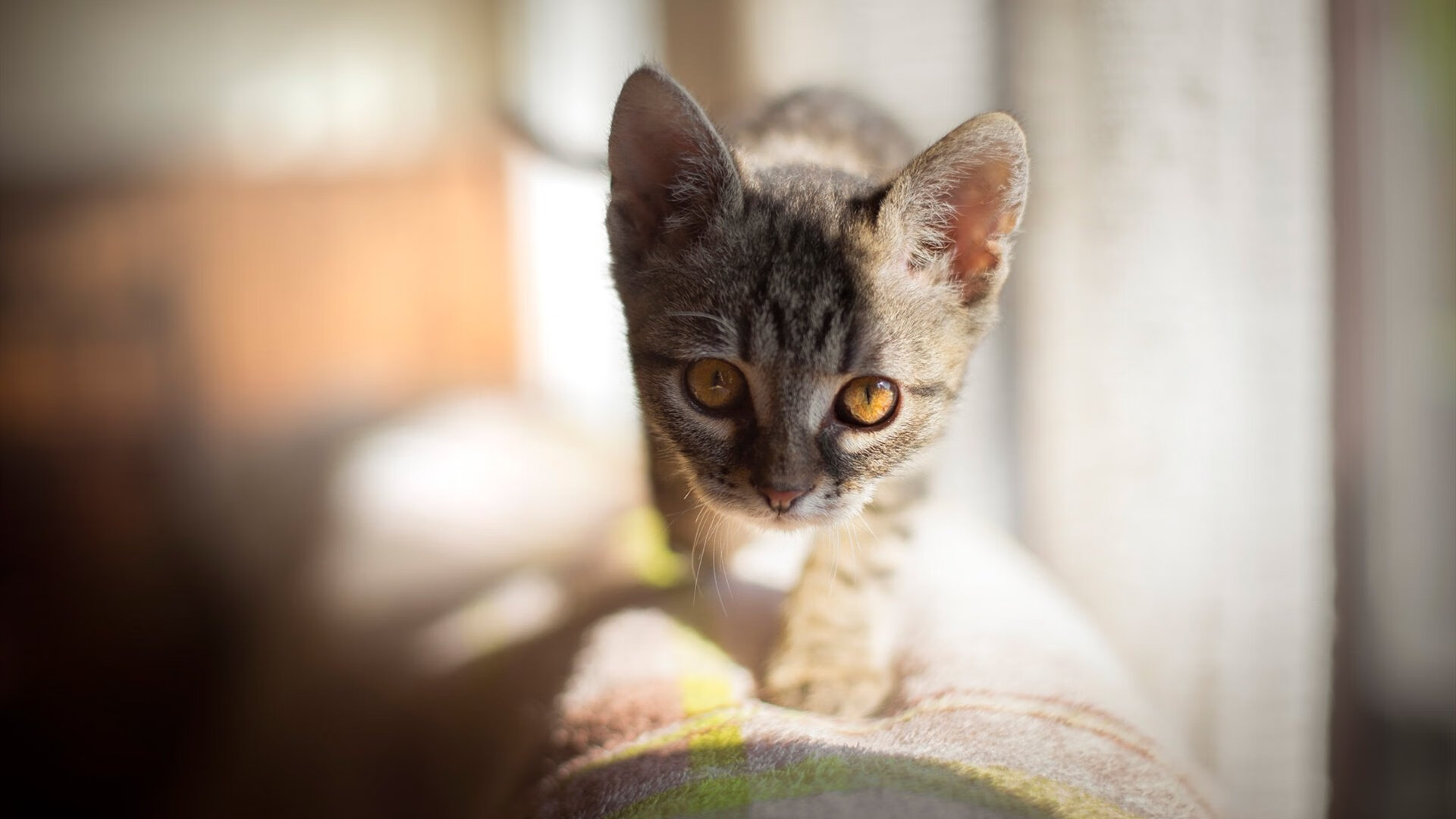 爱游戏官网-_探秘未知洞穴：极限探险与体育结合_，未知的探险