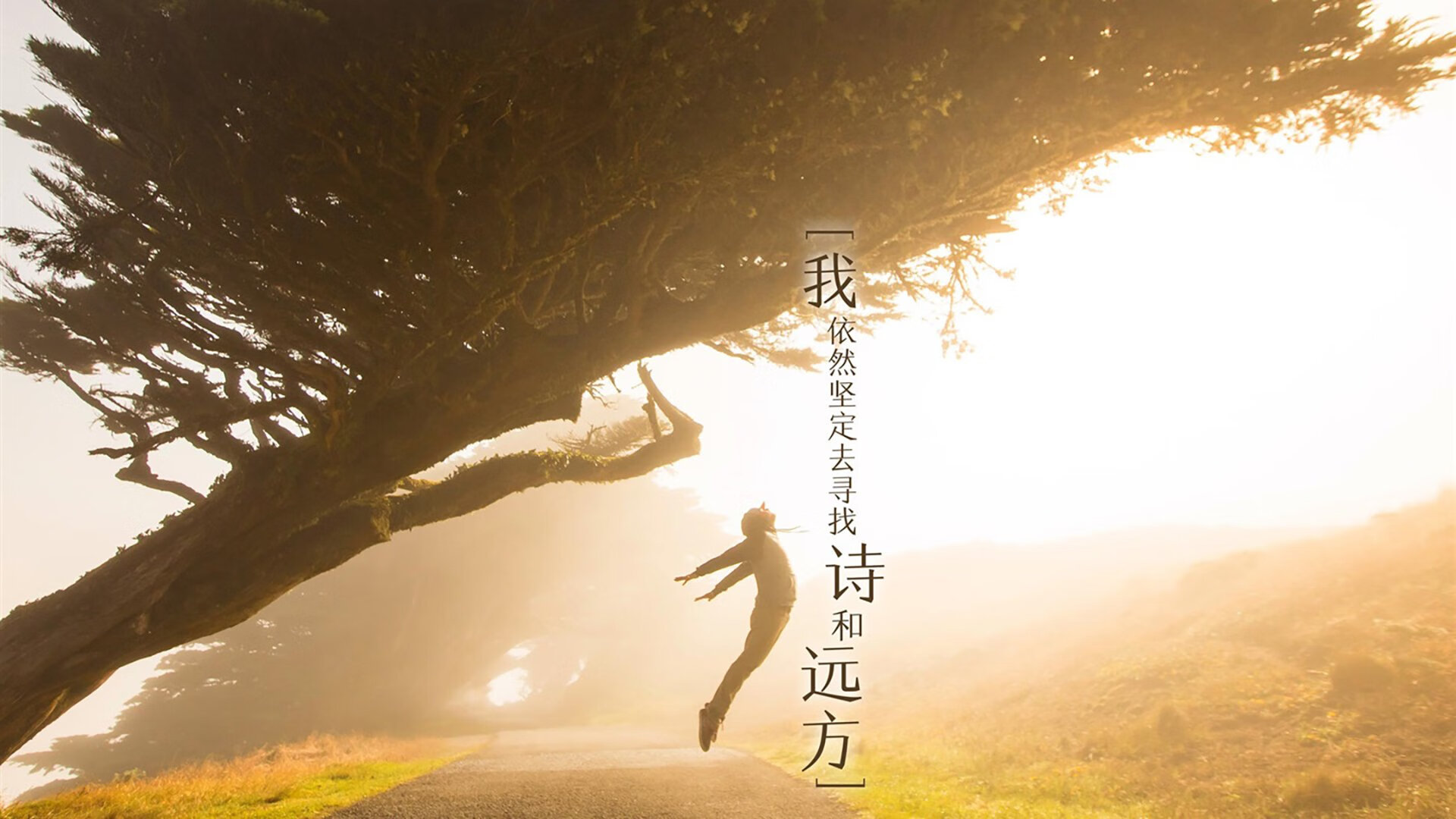 “中超全新赛制公布,提升比赛竞技性与观赏性”,中超的赛制