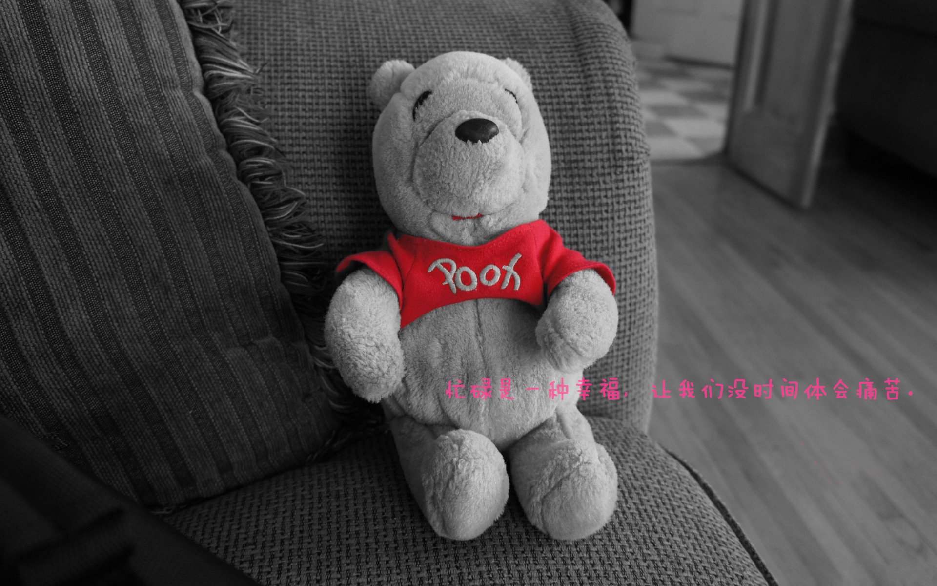 爱游戏娱乐网址-“未来新秀：联盟中最看好的新星崛起”，未来联盟十大控卫