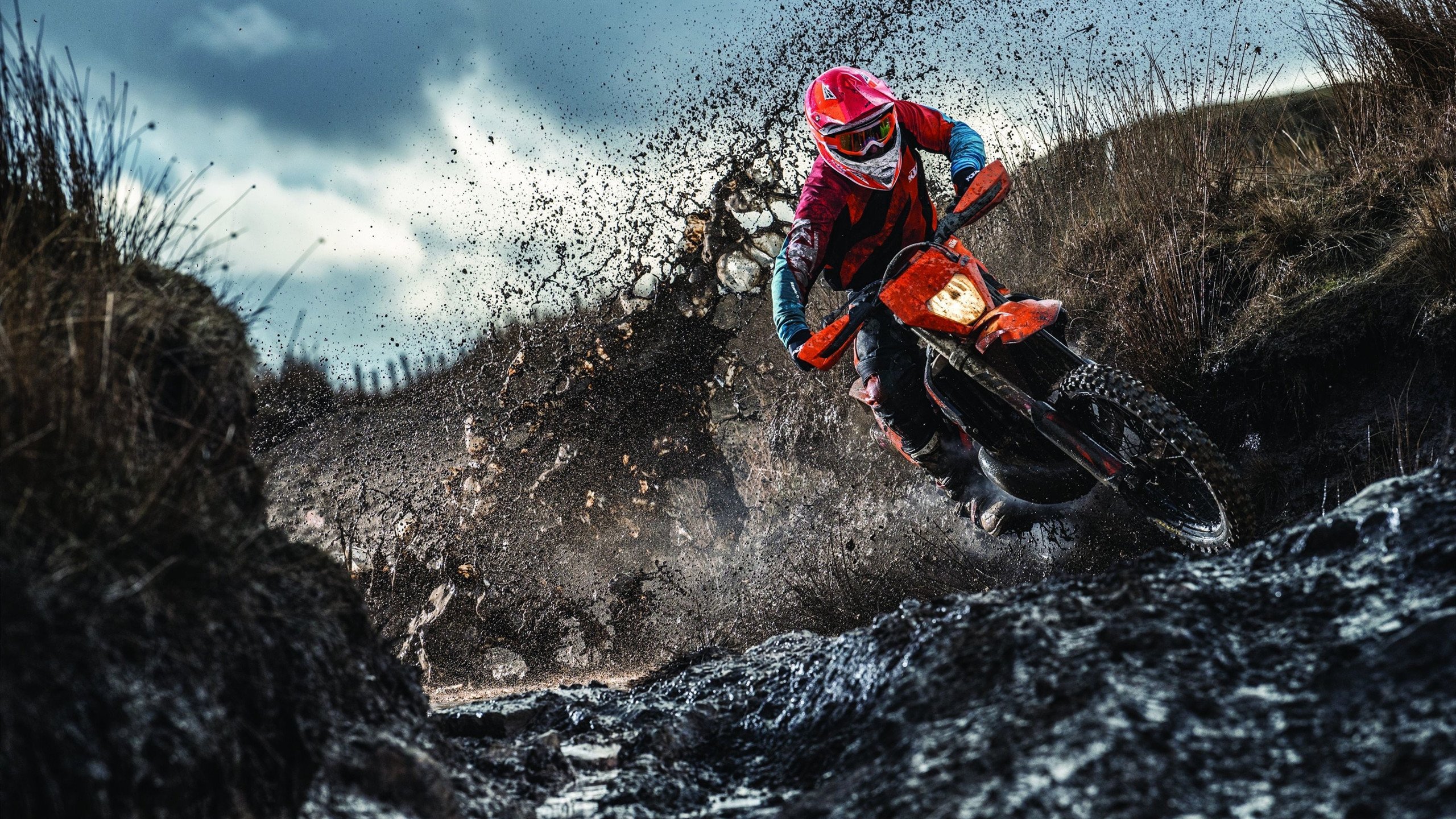 帕金斯起跳反应速度惊人,帕金斯什么水平